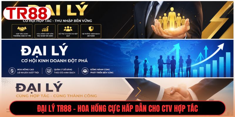Đại Lý TR88 - Hoa hồng cực hấp dẫn cho ctv hợp tác 